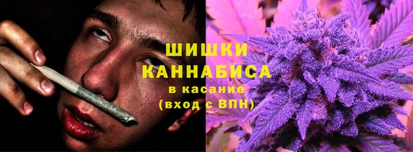 спайс Алзамай