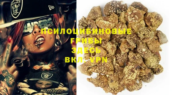 спайс Алзамай